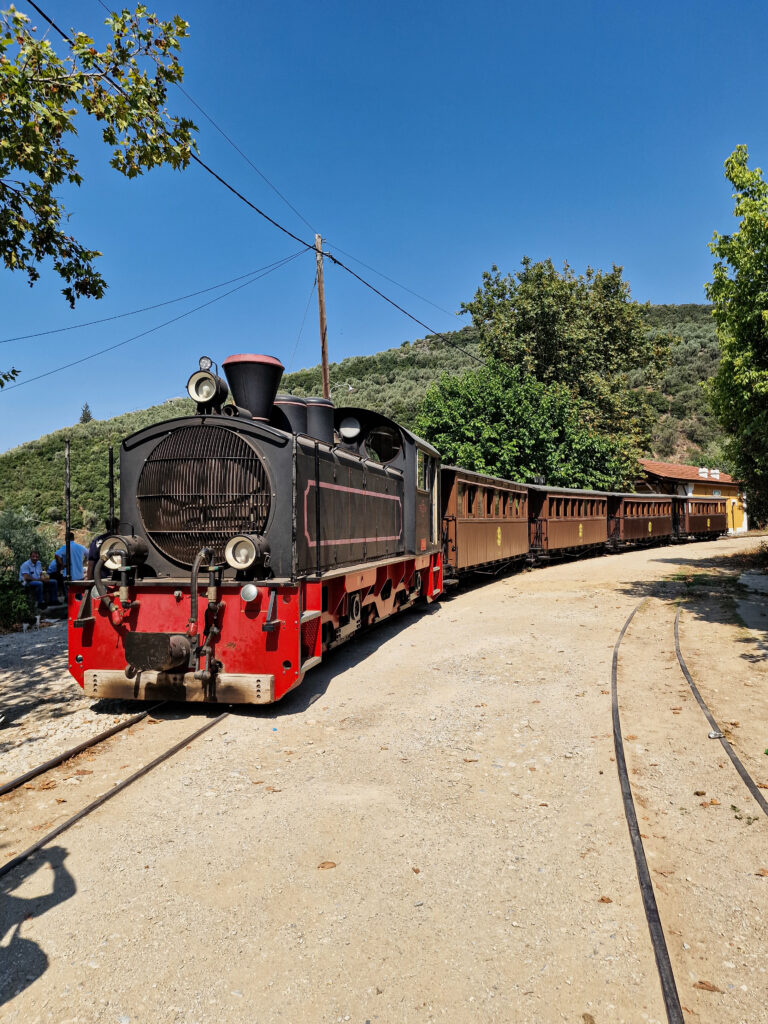 Treno Ano Lechonia - Milies