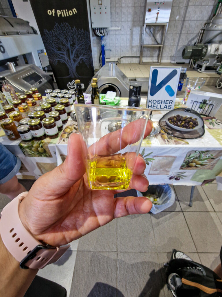 degustazione olio