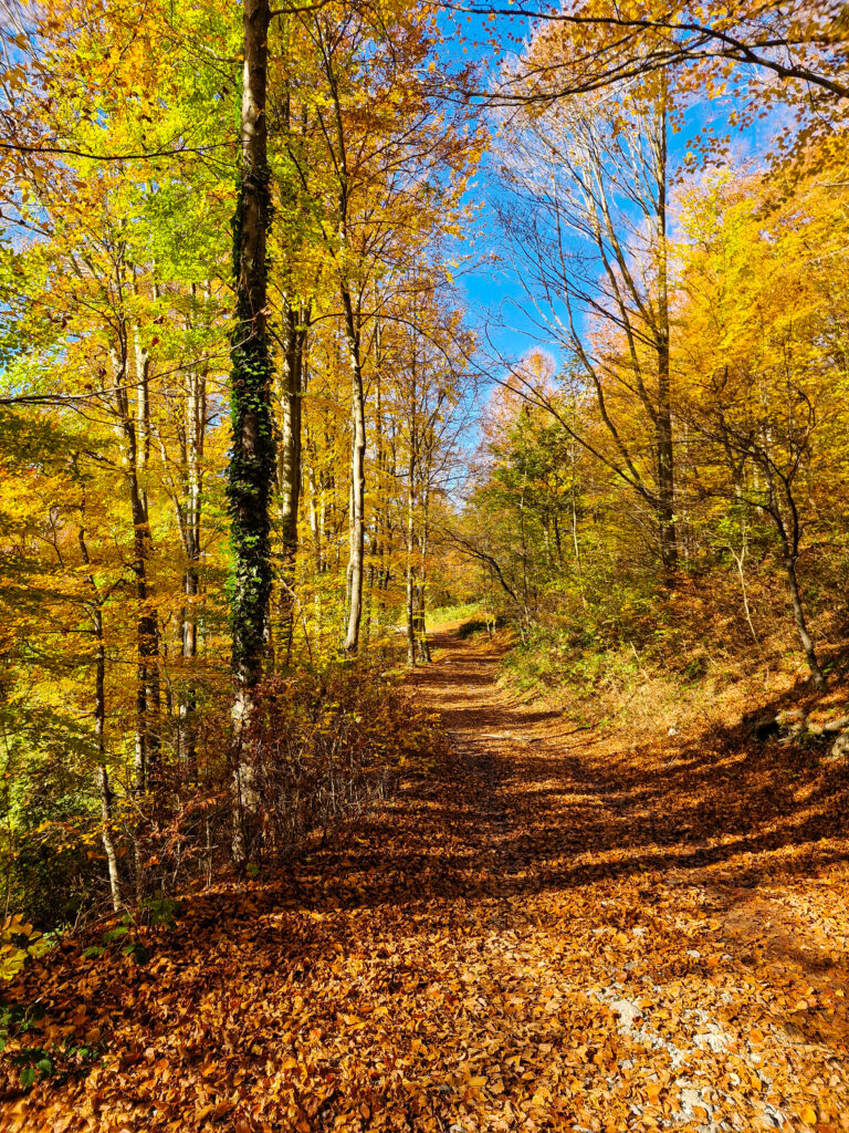 Foliage in Piemonte e Lombardia - Fuipiano