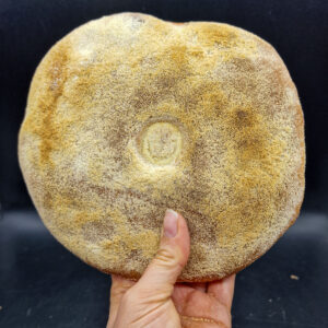 Khobz pane marocchino tradizionale