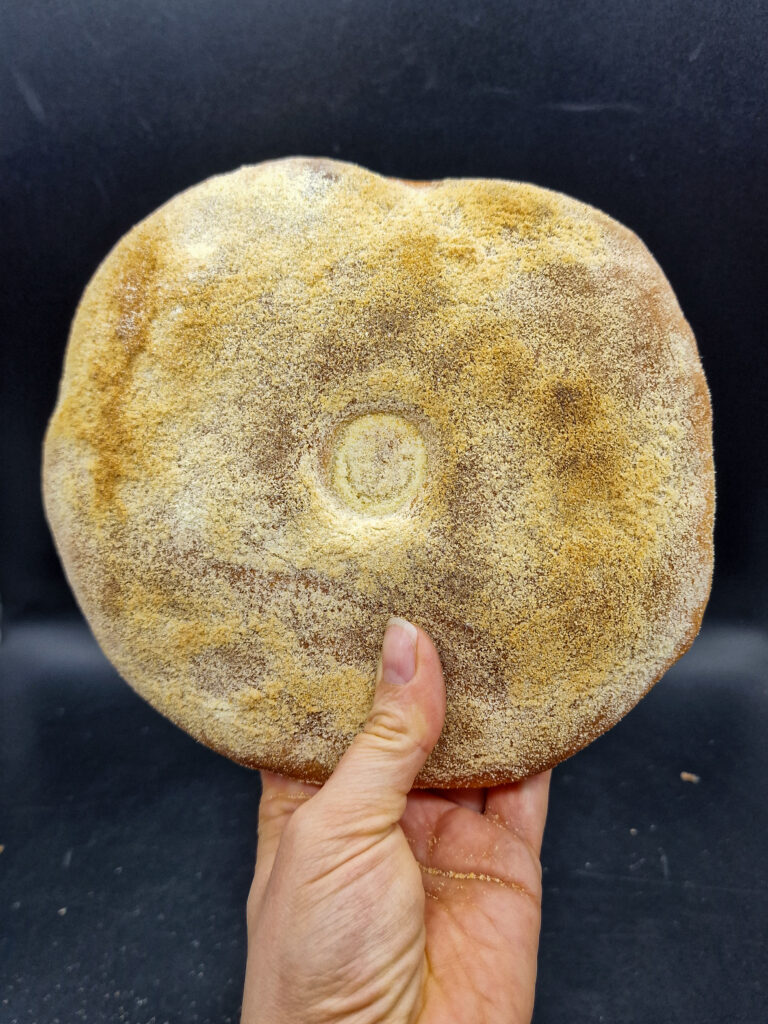 Khobz pane marocchino tradizionale