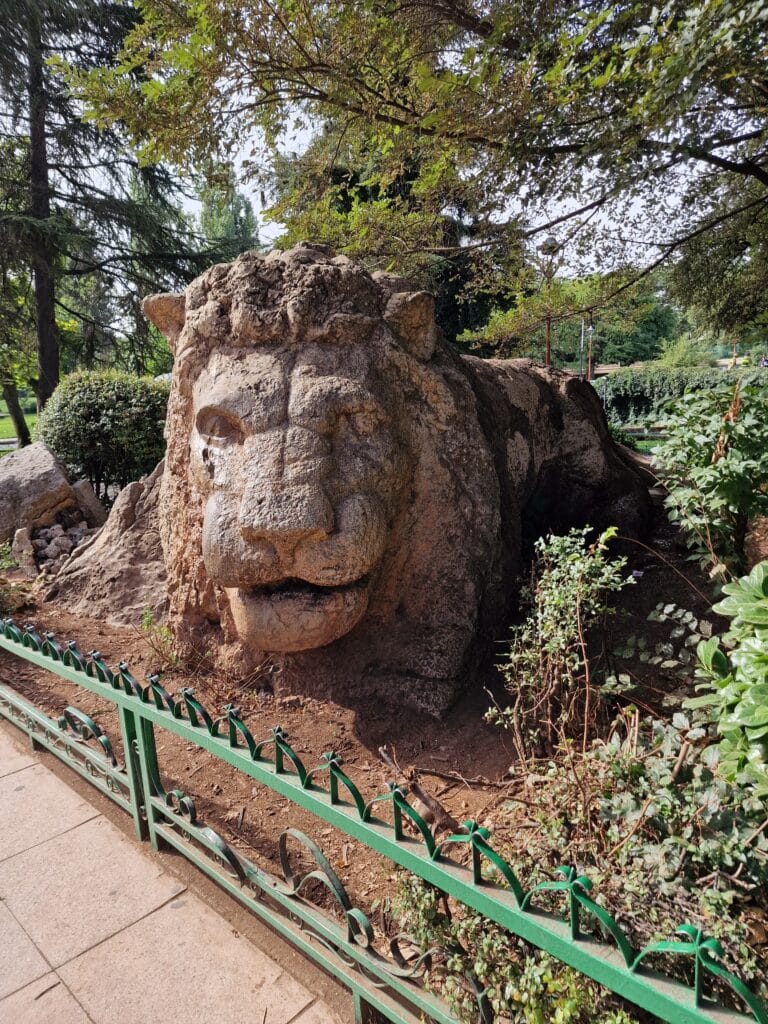 Da Fes a Merzouga: il leone di Ifrane