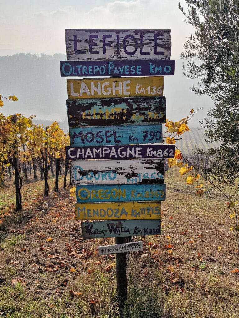 pinot nero - le fiole