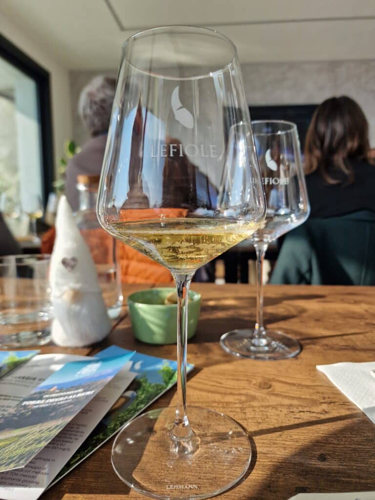 pinot nero metodo classico