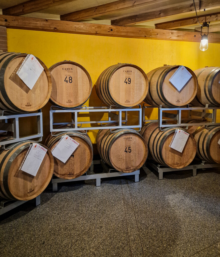 moscato di scanzo - la bottaia