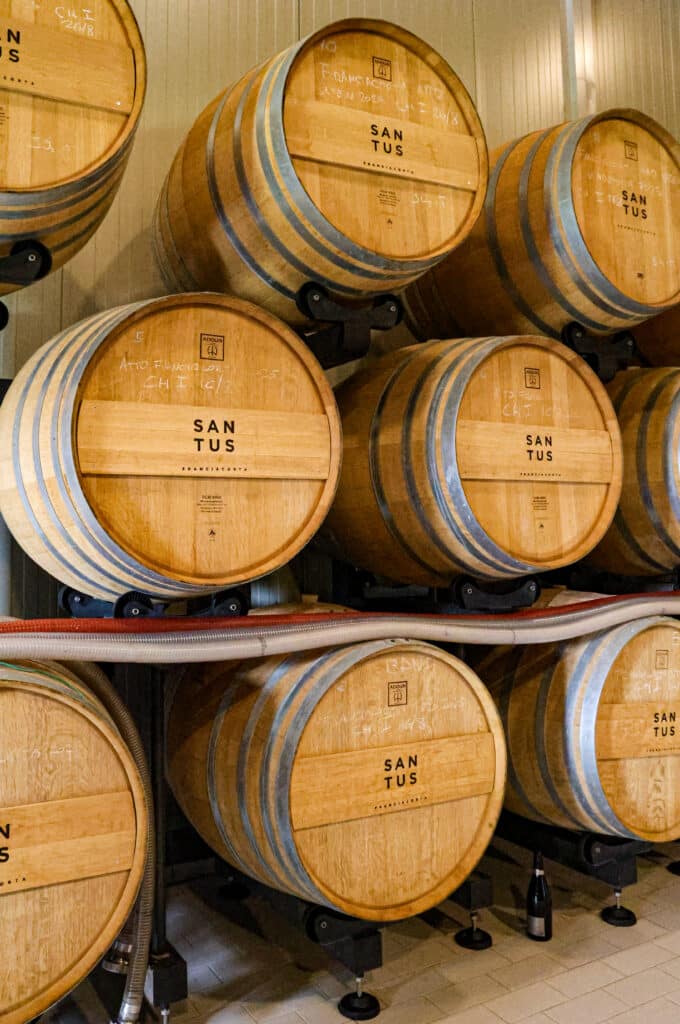 Cantina Santus_botti